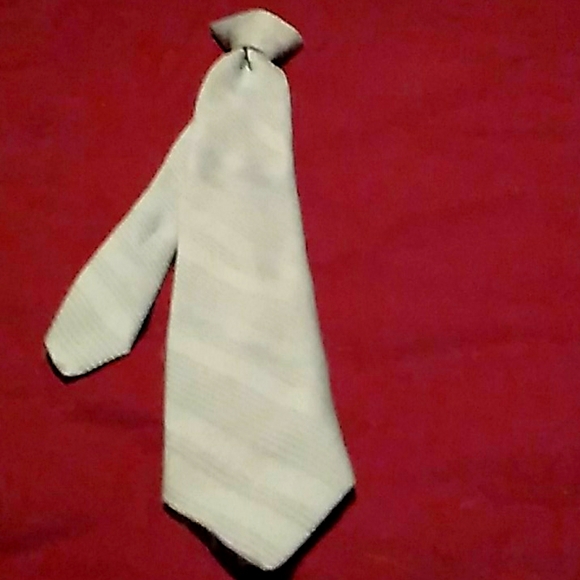 Necktie - Picture 1 of 7